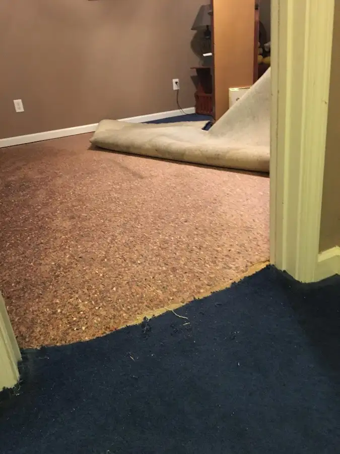 Carpet pad removal revealing water damage during Drying & Dehumidification in Wimauma
