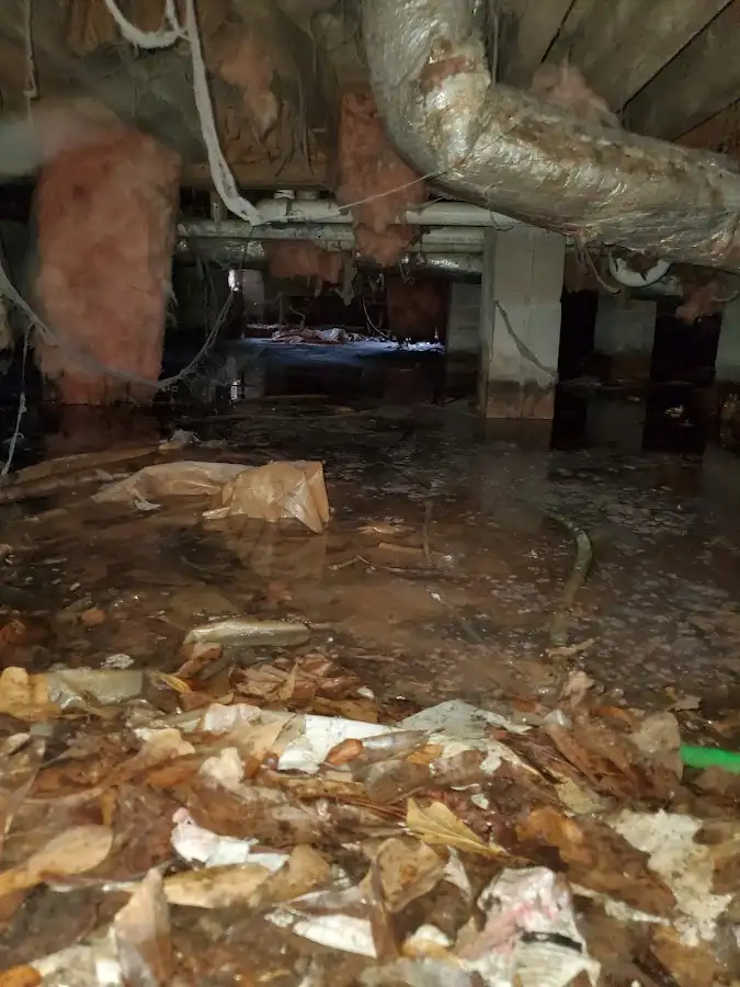 Crawl space flood assessment for Leak Detection & Repair in Wimauma
