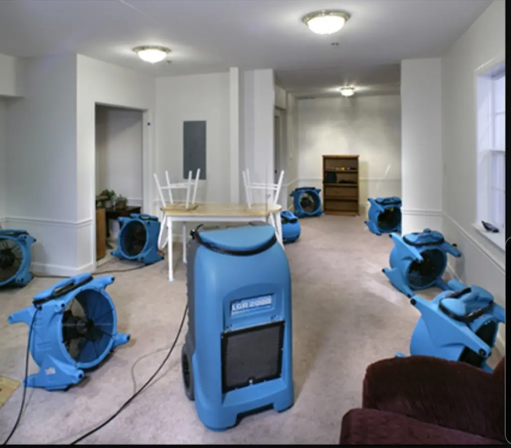 Air movers and dehumidifier setup for Water Extraction & Removal in Wimauma
